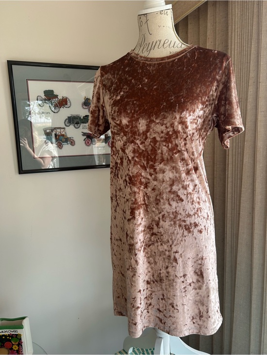 Twik Dresses & Skirts - Plush Short-Sleeve Velvet Shift Dress in Mauve Brown